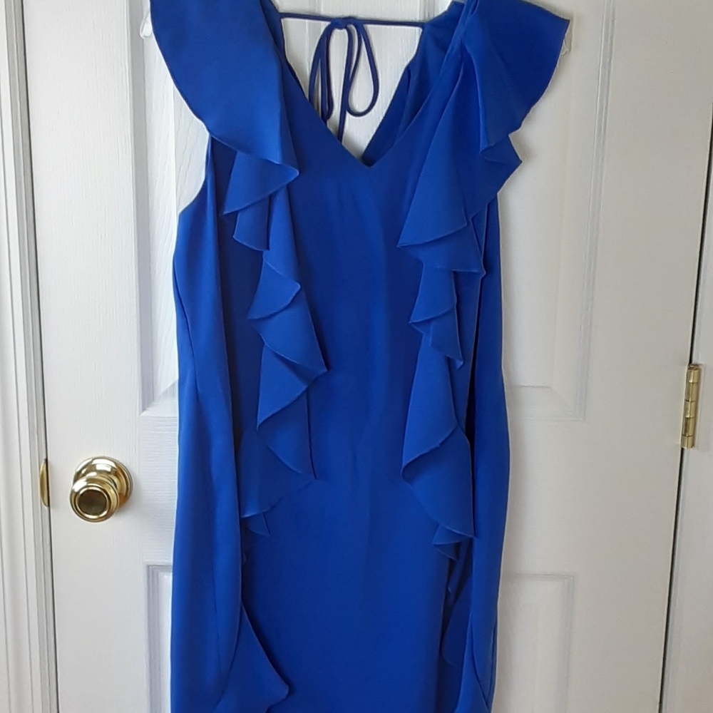 NWT Trina Turk  Ruffle Dress Size 10
